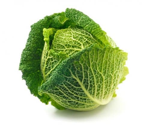 Repollo Crespo Und