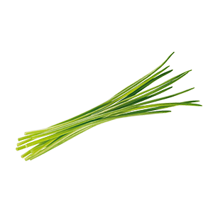 Ciboulette Und