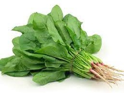 Espinaca Und