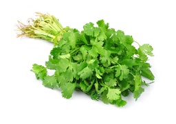 Cilantro Pqt